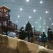 Ski Dubai in Emerates Mall